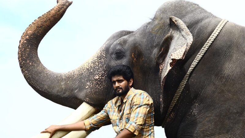 கும்கி 2 திரைவிமர்சனம் ரேட்டிங் 3.2/5