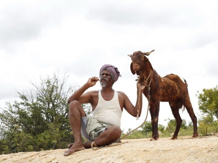 ஒண்டி முனியும் நல்லபாடனும் திரை விமர்சனம் ரேட்டிங் 4.1/5