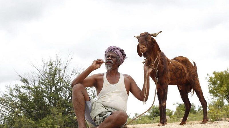 ஒண்டி முனியும் நல்லபாடனும் திரை விமர்சனம் ரேட்டிங் 4.1/5