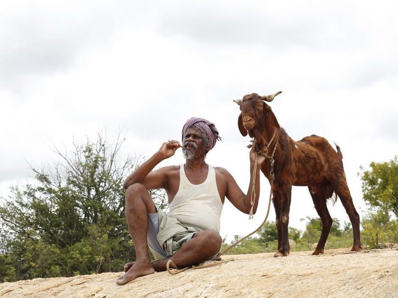 ஒண்டி முனியும் நல்லபாடனும் திரை விமர்சனம் ரேட்டிங் 4.1/5